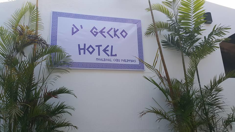 D'Gecko Hotel Моалбоал Екстер'єр фото